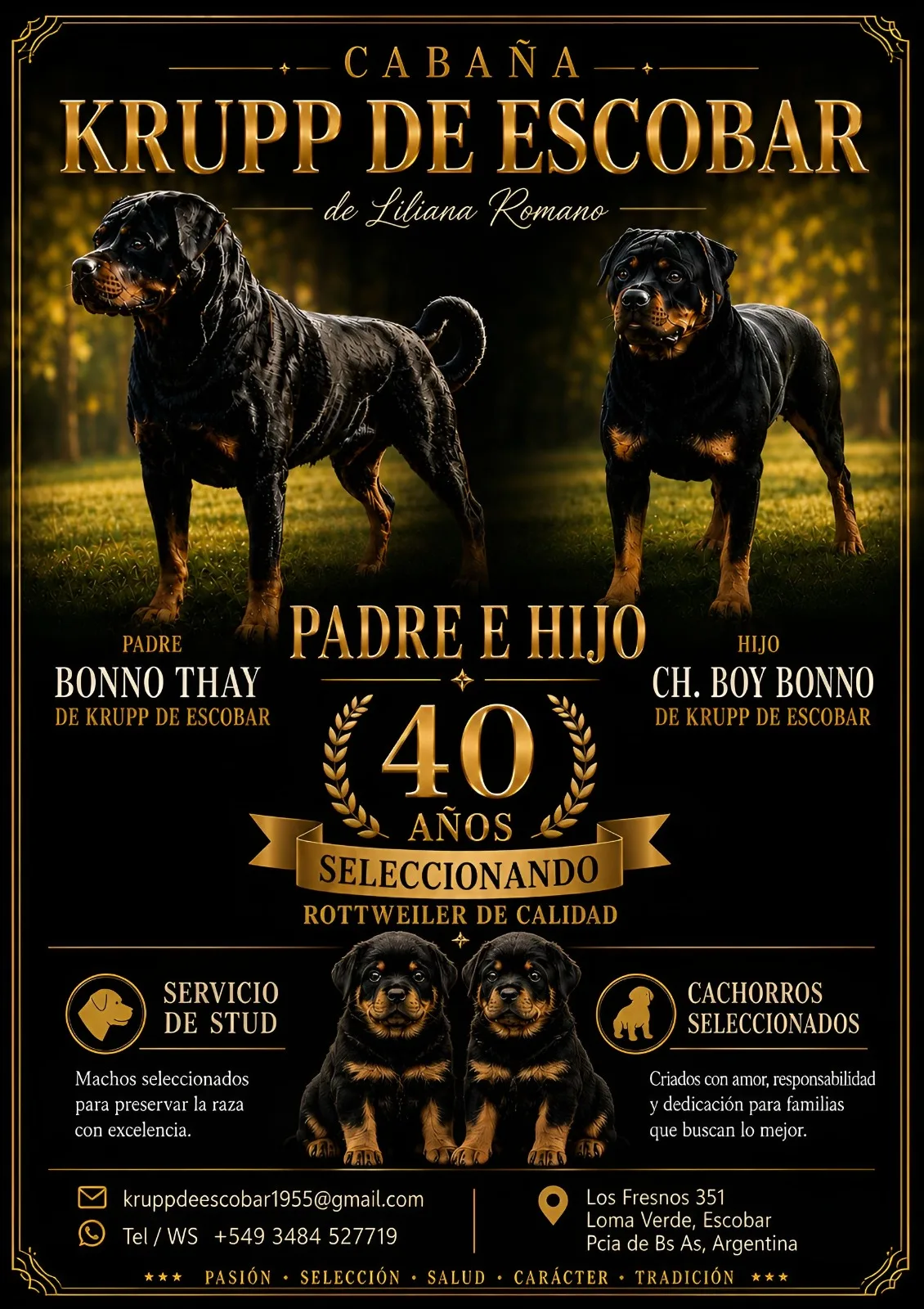 Criadero de Rottweiler Krupp de Escobar, Buenos Aires