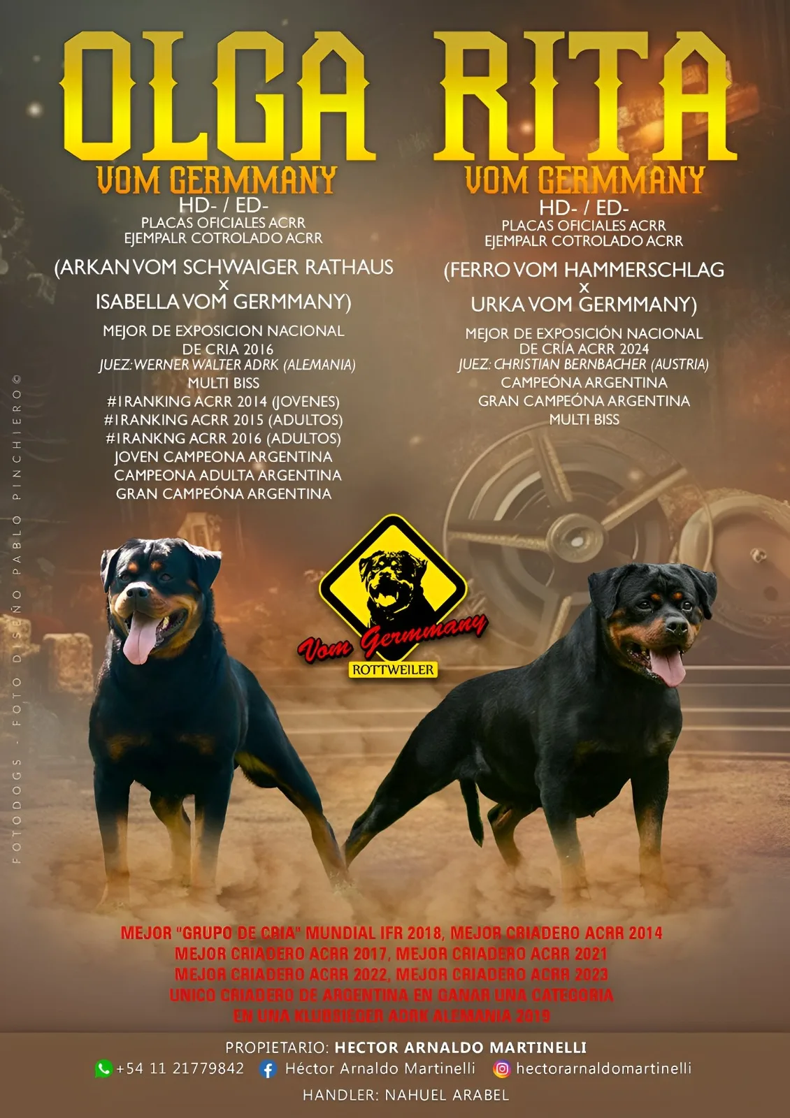 Criadero de Rottweiler Vom Germmany, Buenos Aires