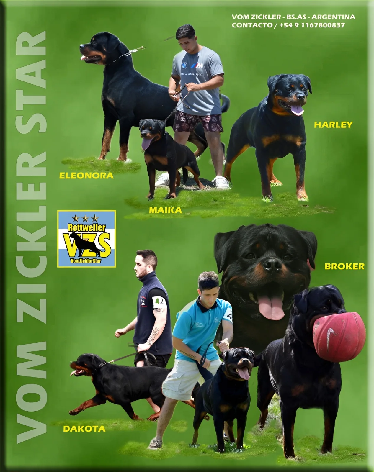 Criadero de Rottweiler Vom Zickler Star, Merlo, Buenos Aires