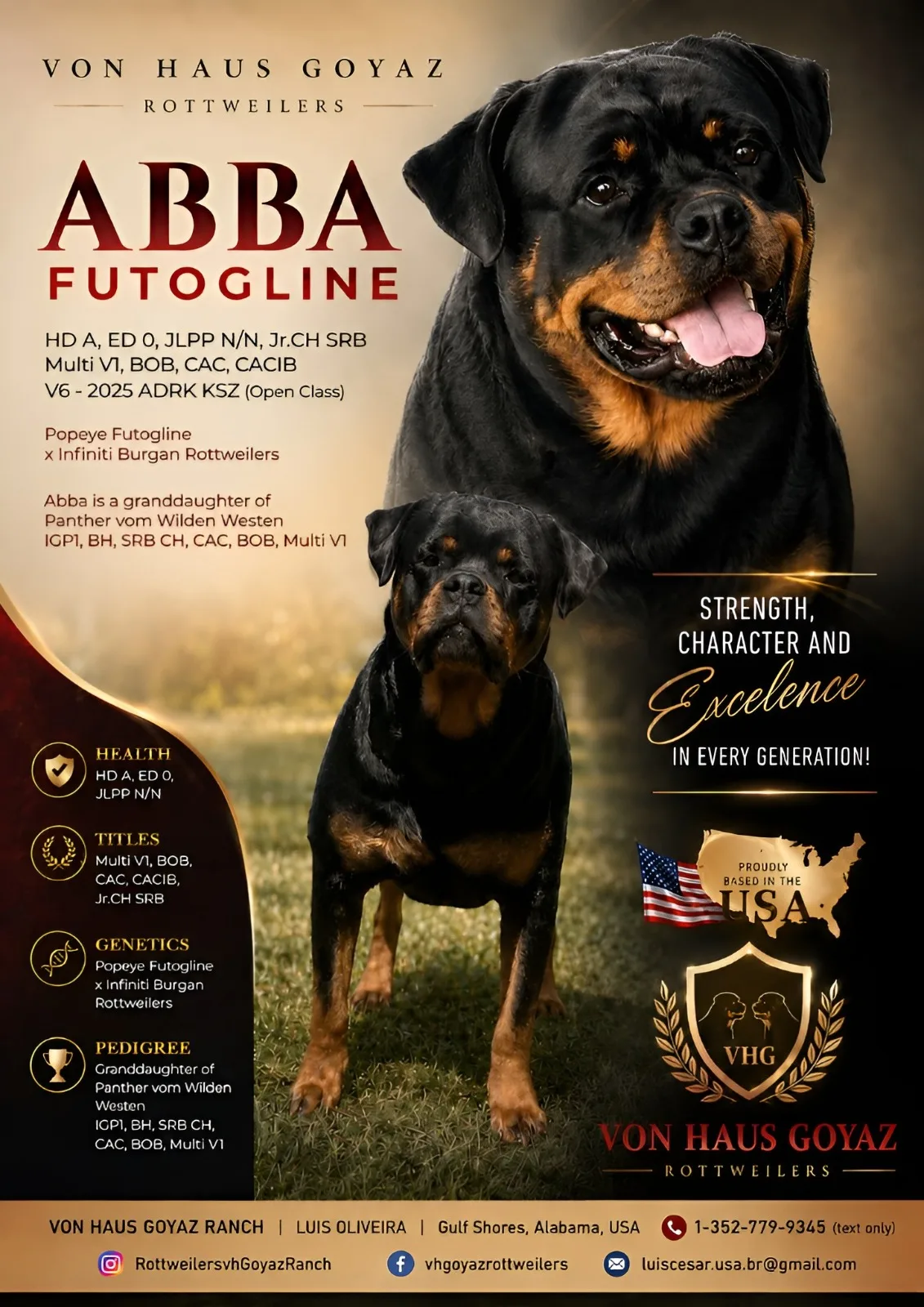 Criadero de Rottweiler Von Haus Goyaz, Alabama, Estados Unidos