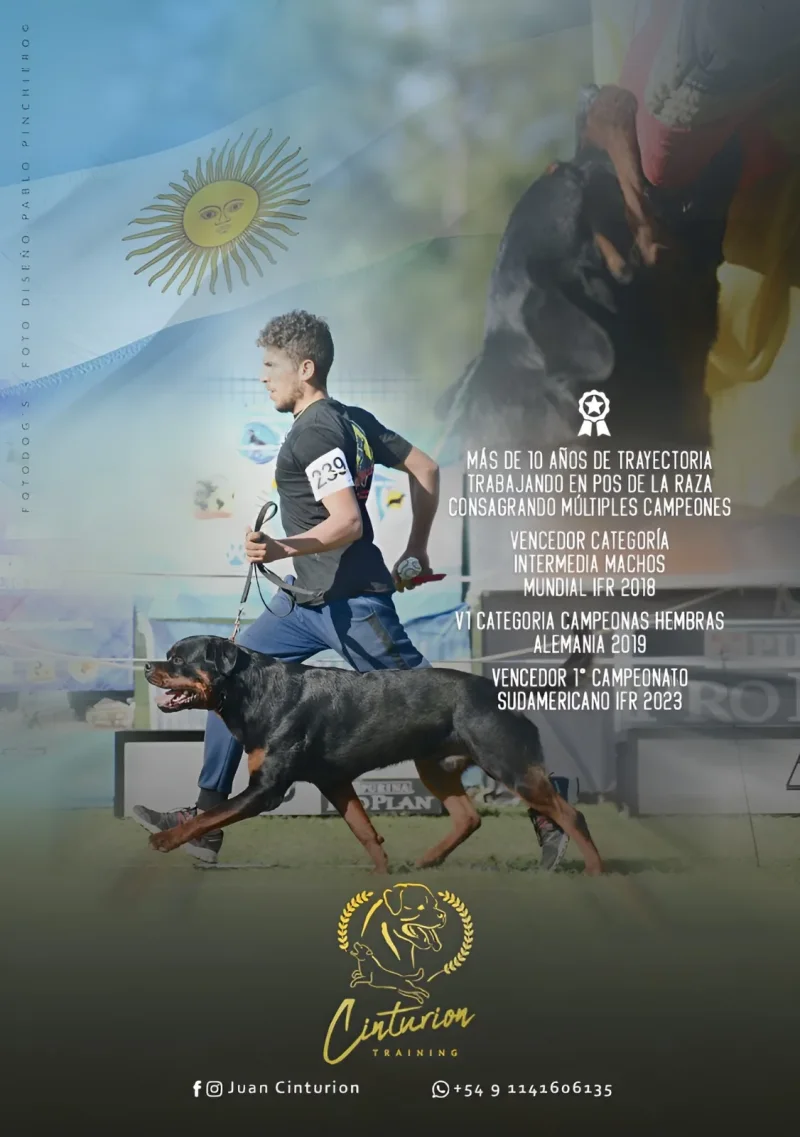 Entrenamiento de Rottweiler Cinturion Training, Argentina