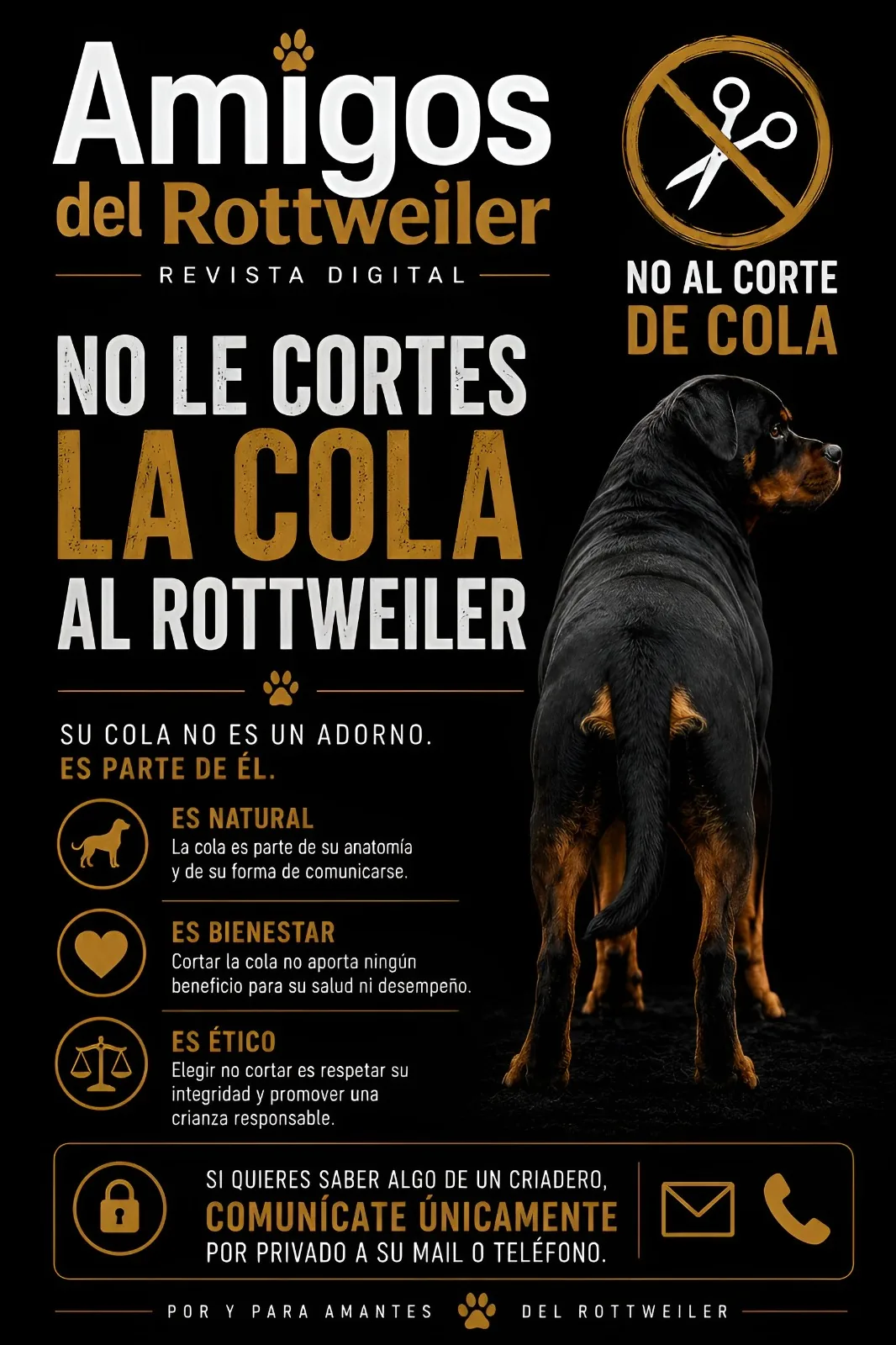 Pieza institucional: 'No le cortes la cola al Rottweiler. Su cola no es un adorno, es parte de él.' Es natural: forma parte de su anatomía y de su forma de comunicarse. Es bienestar: cortarla no aporta ningún beneficio de salud ni de desempeño. Es ético: elegir no cortarla es respetar su integridad.